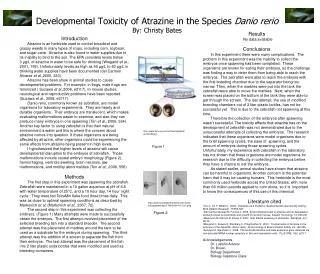 Developmental Toxicity of Atrazine in the Species Danio rerio By: Christy Bates