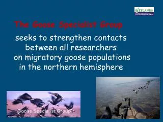 The Goose Specialist Group