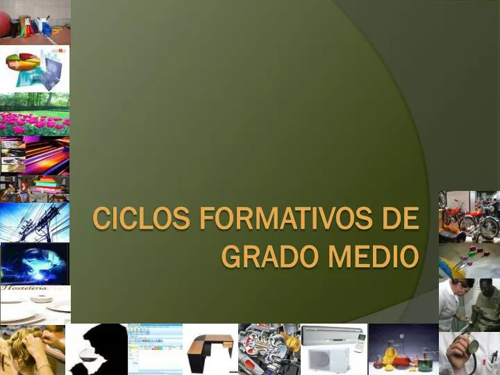 ciclos formativos de grado medio