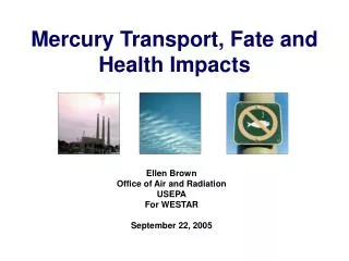 Mercury Transport, Fate and Health Impacts