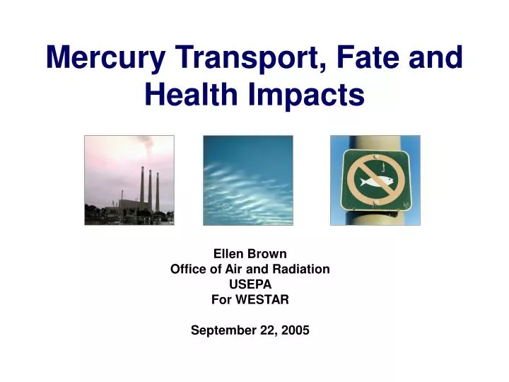 mercury transport fate and health impacts