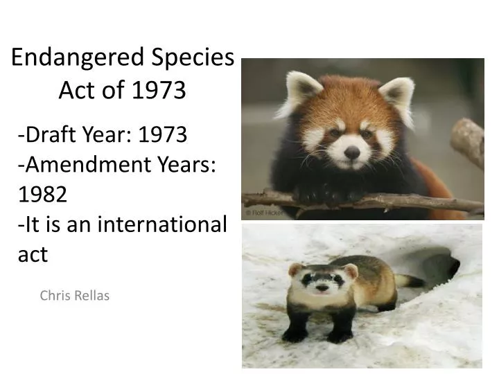 endangered species act of 1973