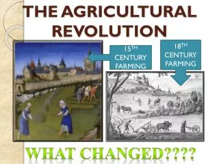 THE AGRICULTURAL REVOLUTION