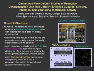 Continuous-Flow Column Studies of Reductive Dehalogenation with Two Different Enriched Cultures: Kinetics, Inhibition, a