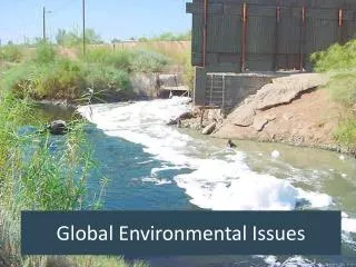 Global Environmental Issues