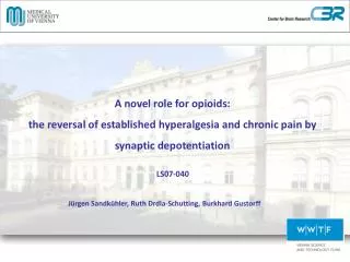 A novel role for opioids: the reversal of established hyperalgesia and chronic pain by synaptic depotentiation