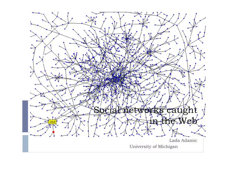 social networks caught in the web