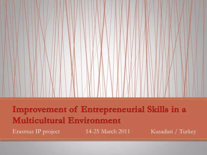 improvement of entrepreneurial skills in a multicultural environment