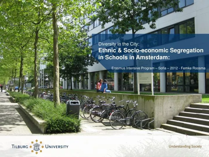 diversity in the city ethnic socio economic segregation in schools in amsterdam