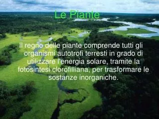 le piante