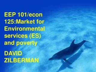 EEP 101/econ 125:Market for Environmental services (ES) and poverty DAVID ZILBERMAN