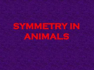 SYMMETRY IN ANIMALS