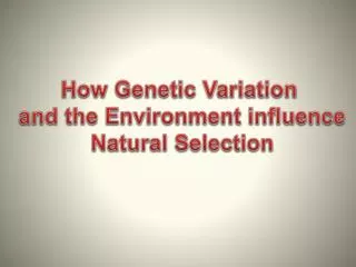How Genetic Variation and the Environment influence Natural Selection