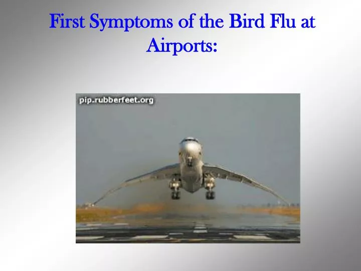 first symptoms of the bird flu at airports