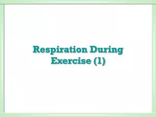respiration during exercise 1