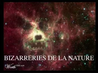 BIZARRERIES DE LA NATURE