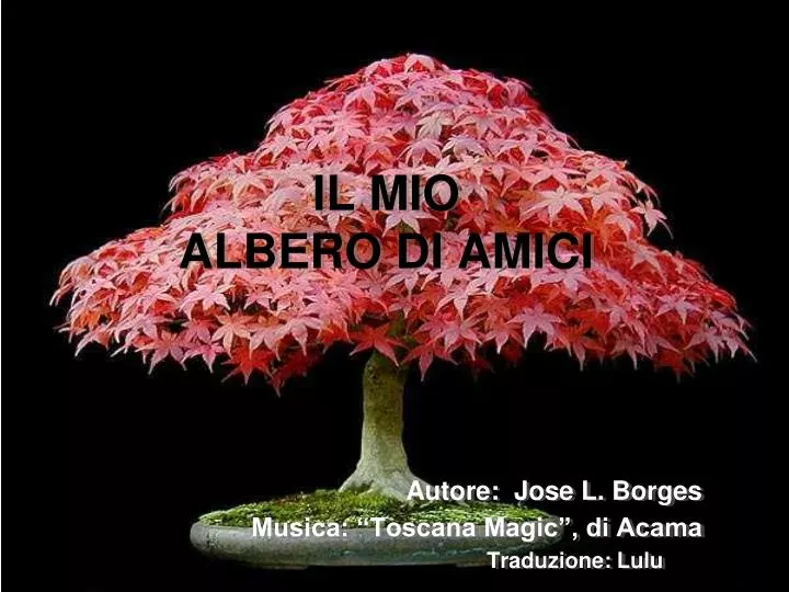 il mio albero di amici autore jose l borges musica toscana magic di acama traduzione lulu
