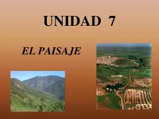 unidad 7
