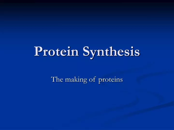 protein synthesis