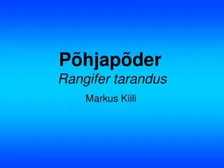 p hjap der rangifer tarandus
