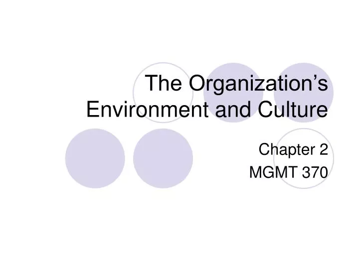 the organization s environment and culture