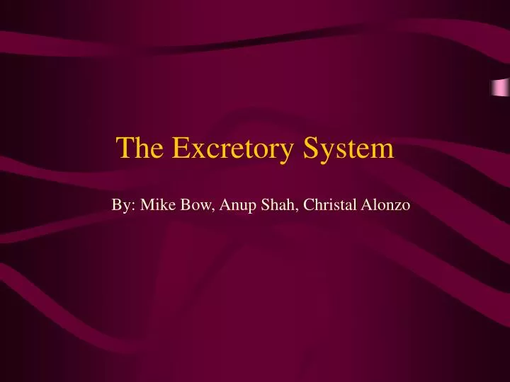 the excretory system