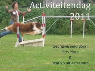 activiteitendag 2011