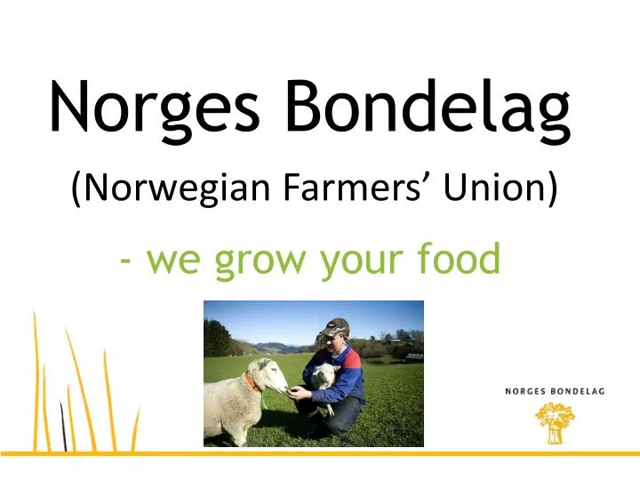 norges bondelag norwegian farmers union we grow your food