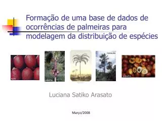 Formação de uma base de dados de ocorrências de palmeiras para modelagem da distribuição de espécies