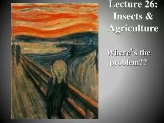 Lecture 26: Insects &amp; Agriculture