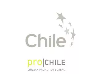 Snapshot of the Chilean Economy