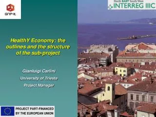 HealthY Economy: the outlines and the structure of the sub-project