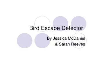 Bird Escape Detector