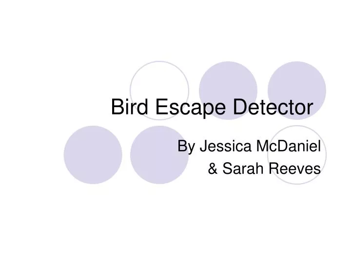 bird escape detector
