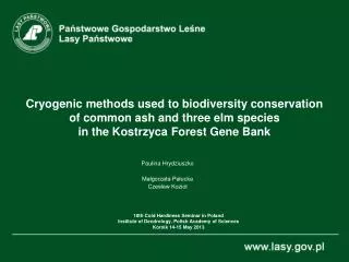 Cryogenic methods used to biodiversity conservation of common ash and three elm species in t he Kostrzyca Forest Gene