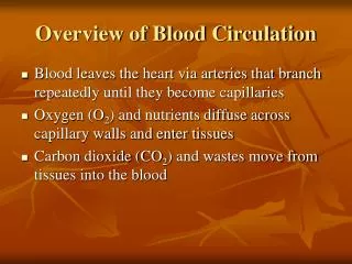 Overview of Blood Circulation