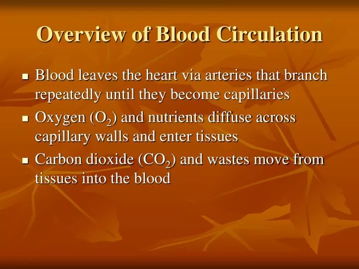 overview of blood circulation