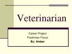 Veterinarian - slide 1