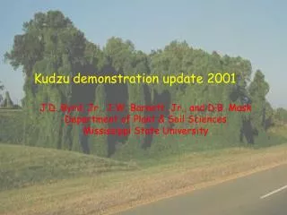 Kudzu demonstration update 2001