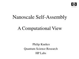 Nanoscale Self-Assembly A Computational View