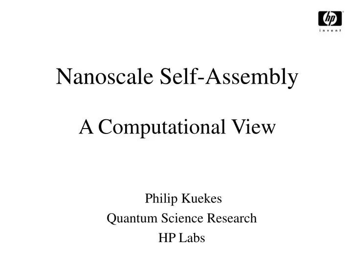 nanoscale self assembly a computational view