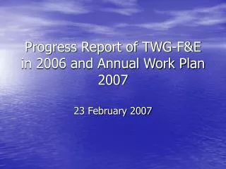 Progress Report of TWG-F&amp;E in 2006 and Annual Work Plan 2007