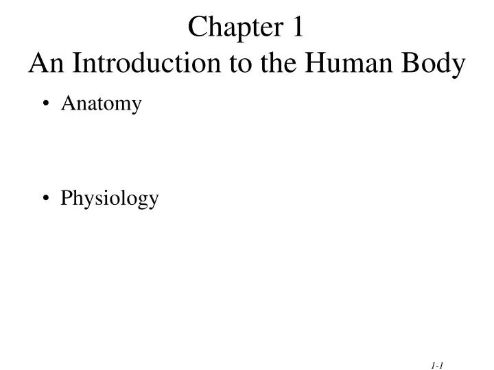 chapter 1 an introduction to the human body