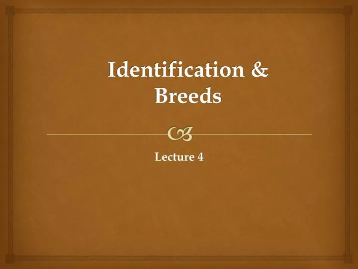 identification breeds
