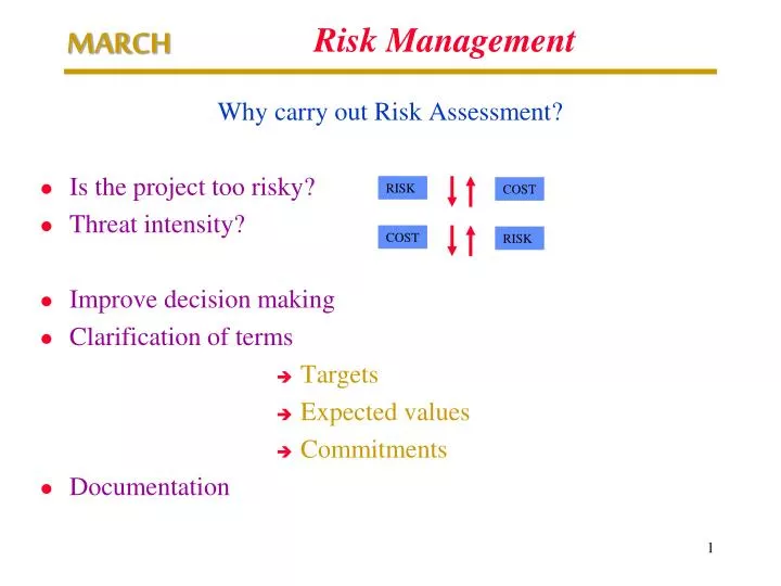 risk management