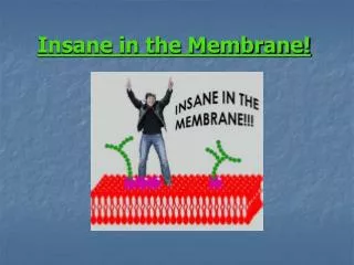 Insane in the Membrane!