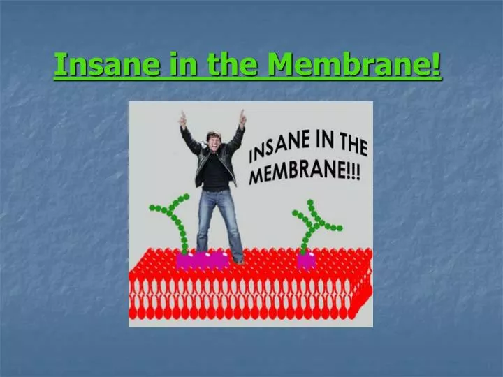 insane in the membrane
