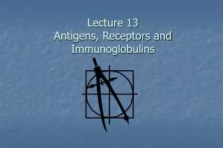 lecture 13 antigens receptors and immunoglobulins