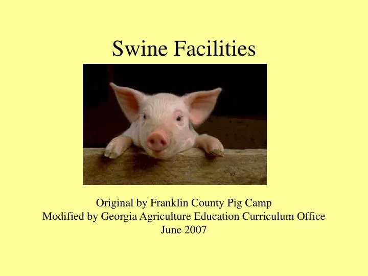 swine facilities