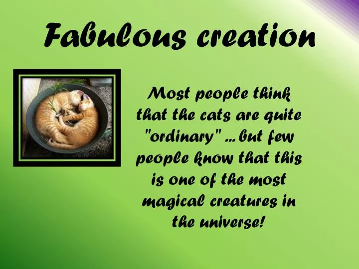 fabulous creation